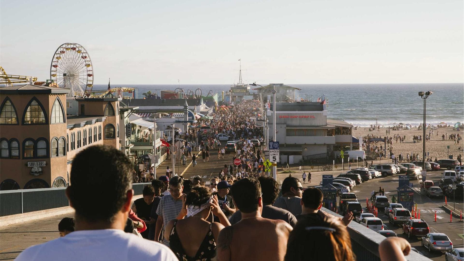 The Fiction of My life